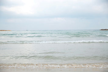 Waves