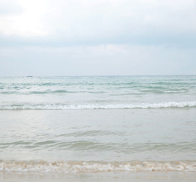 Waves