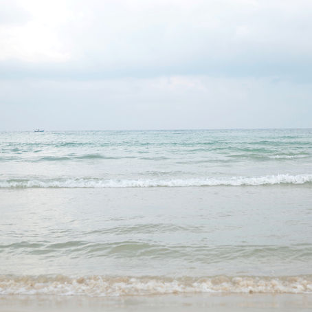 ROSC Coach Danny Sourbis