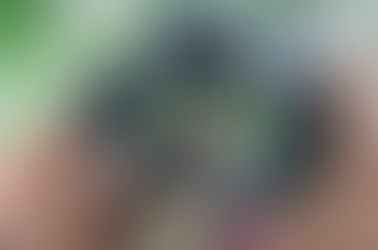 Usos e significados do verbo “tirar”