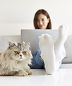 Chat et travail