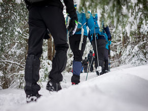 Uxbridge, Sunderland and Lindsay News