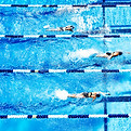 Professional Swimmer