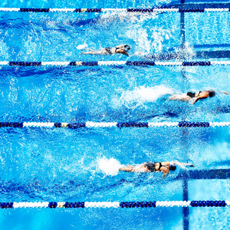 Natación adultos