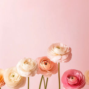 3-4月:ご予約空き状況