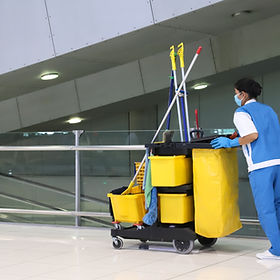 Professional Cleaning Worker