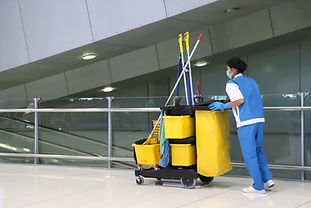 Professional Cleaning Worker