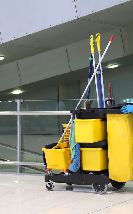 Professional Cleaning Worker