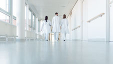 Disruptive Physician Behaviour and Hospital Liability in Tort: Rosenhek v. Windsor Regional Hospital