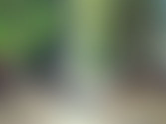 Navigating mindfulness in a creative world isn't the easiest of pathways. Allot BCP to help guide you toward what you would like to achieve.