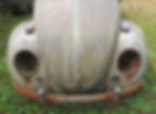 Blind beetle ready for restoration