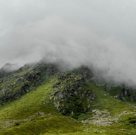 Inviting Westerlies