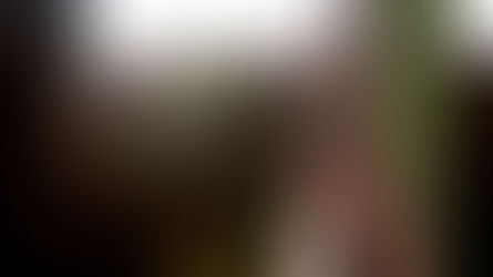 Loslassen verändert alles: Warum wir festhalten – und wie wir lernen, frei zu werden