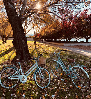 Park in Autumn