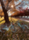 Park in Autumn