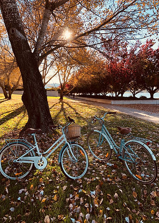 Park in Autumn