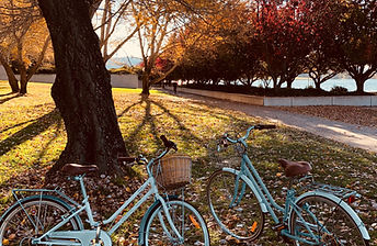 Park in Autumn