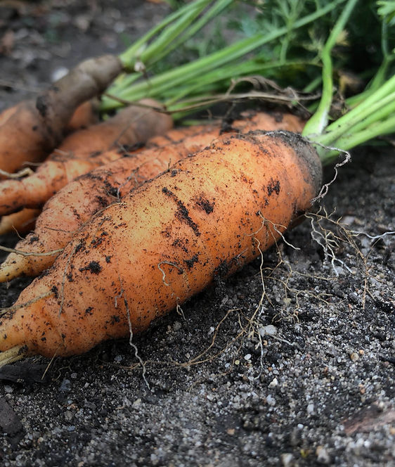 Organic Suppliments