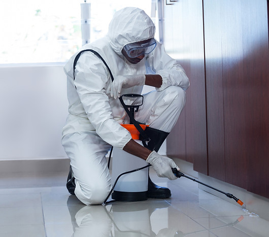 Pest Control Professional