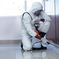 Pest Control