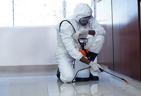 Pest Control