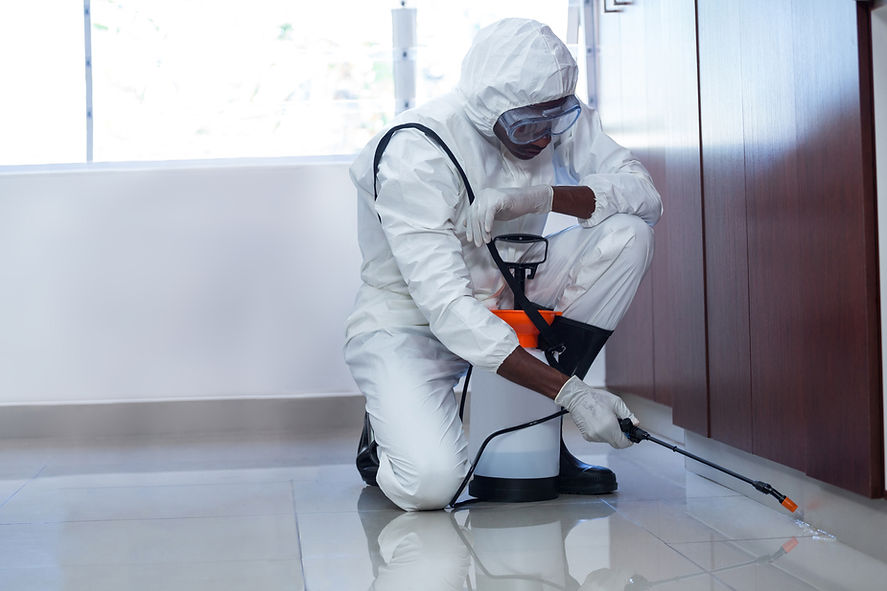 Pest Control Professional