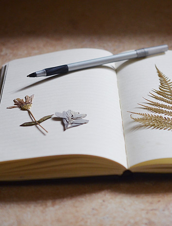 Open Notebook Display