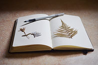 Notebook Dried Plants