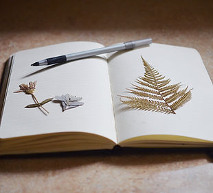 Open Notebook Display
