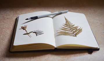 Notebook Dried Plants
