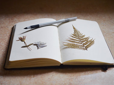 Open Notebook Display