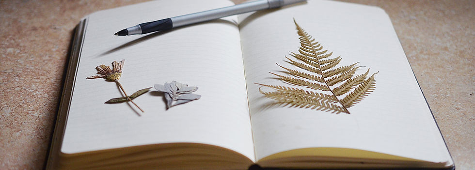 Open Notebook Display