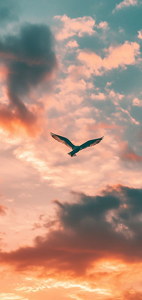 Bird In Vibrant Sky