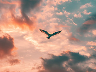 The Invisible Prison