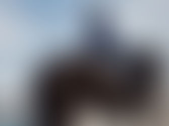 2023 Advanced Equine Program Applications Open