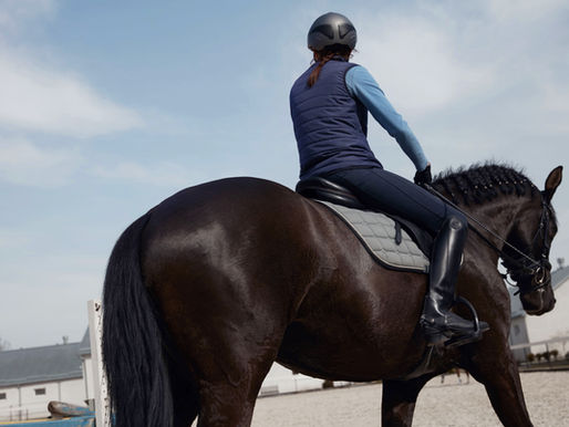 Effektive Mikroorganismen (EM) für Pferde: Anwendung und Nutzen