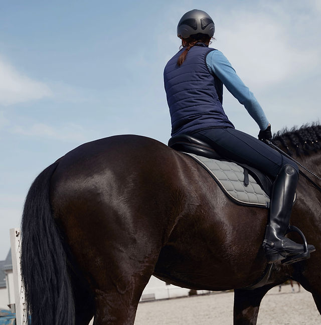 Dressage Horse