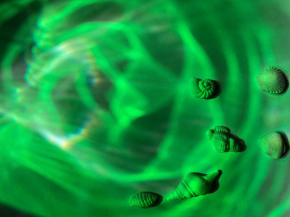 Green Shell Composition