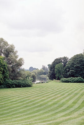 Park Landscape View