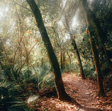 踏み出してみてわかること