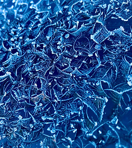 Blue Frost