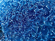 Frosted Glass Texture