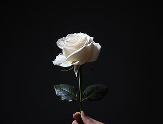 La Rosa Blanca sostuvo