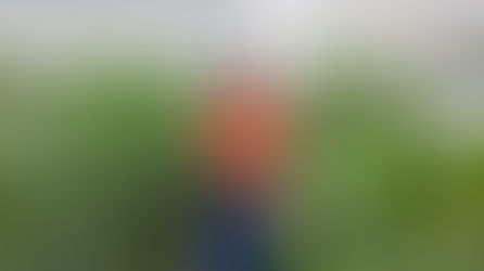 Sera Yatırımlarında Yatırım Teşvik Belgesi Sistemi