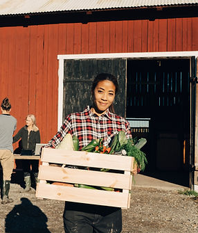 Femme à la caisse de légumes