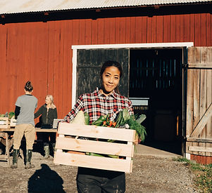 Woman with Crate of Vegetables