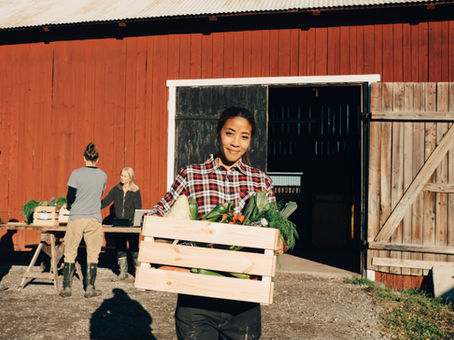 The Simplicity of Love