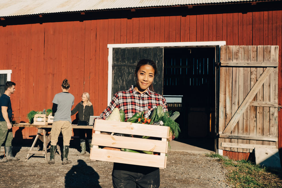 Woman with Crate of Vegetables