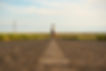 Walking Down Empty Road