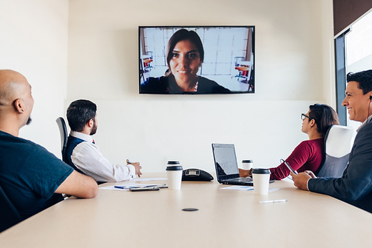 Virtual Meeting